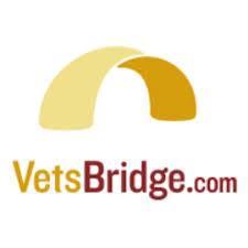 VetsBridge